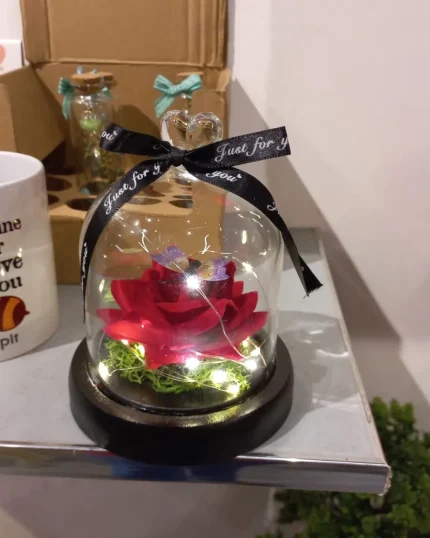 Rose in Glass - Dome Rose - Online Gift Shop - Send Gifts to Pakistan - GiftDelivery.pk