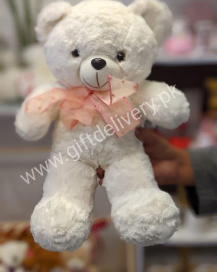 Cute Teddy Bear - Cute Teddy Bear In Pakistan - Send Teddy Bears - Online Teddy Bear Shop - GiftDelivery.pk