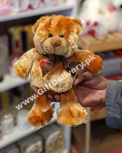 Best Mini Teddy Bear - GiftDelivery.pk