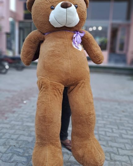 Order Teddy Bear in Pakistan