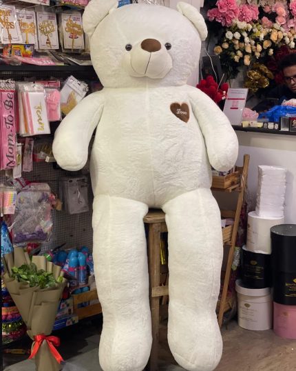 Teddy Bear Delivery in Lahore