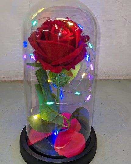 Rose in Glass Dome - GiftDelivery.pk
